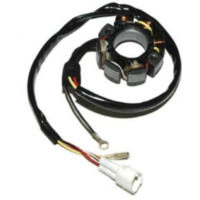 ELECTROSPORT Stator - für: KTM für Husaberg, Beta