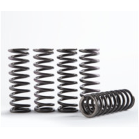 HINSON Hi-Temp Clutch Spring Kit - for: Suzuki / Kawasaki for KX250 RM-Z250