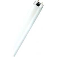 fluorescent lamp L36W/865 Osram