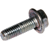 Screw SPERRZAHN 6X20