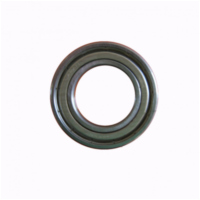 Roller bearing 6017