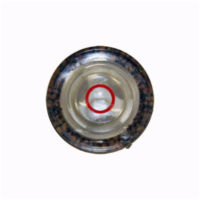 oil standseye 1/2
