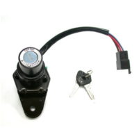 Ignition switch BD21MY0012