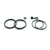 Brake caliper seal kit BCR305