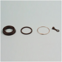 Brake caliper repair kit BCF201