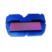 Air filter hiflo HFA1901