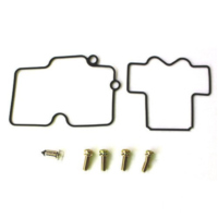 Carburetor repair kit CAB450