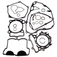 Complete gasket / seal kit P400250850047