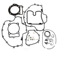 Complete gasket / seal kit P400220850258