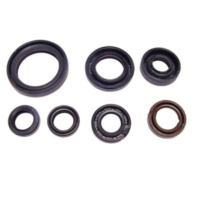 Engine oil seal kit P400485400039