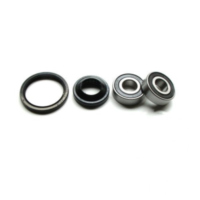 Wheel bearing and seal kit WBK096