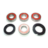 Wheel bearing and seal kit WBK397