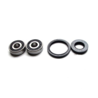 Wheel bearing and seal kit WBK056