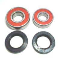 Wheel bearing and seal kit WBK105