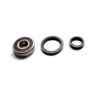 Wheel bearing and seal kit WBK160
