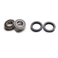 Wheel bearing and seal kit WBK195