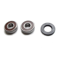 Wheel bearing and seal kit WBK205