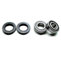 Wheel bearing and seal kit WBK214