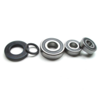 Wheel bearing and seal kit WBK232