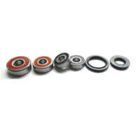 Wheel bearing and seal kit WBK264