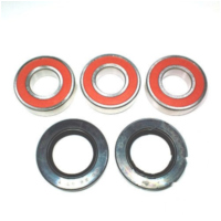 Wheel bearing and seal kit WBK341 fitting for Yamaha DT  125 4BL 1995, 12 PS, 9 kw
