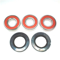 Wheel bearing and seal kit WBK341