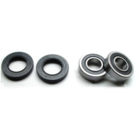 Wheel bearing and seal kit WBK217