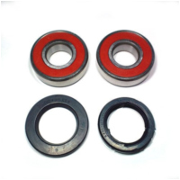 Wheel bearing and seal kit WBK309