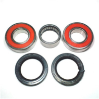 Wheel bearing and seal kit WBK383