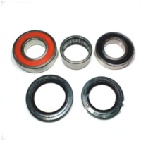 Wheel bearing and seal kit WBK384