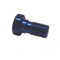 Banjo bolt single m10x1.00 blue fitting for Suzuki GS Gussrad 1000 GS1000 1980, 90 PS, 66 kw