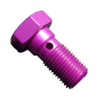 Banjo bolt single m10x1.00 violet fitting for Suzuki GS Gussrad 1000 GS1000 1980, 90 PS, 66 kw