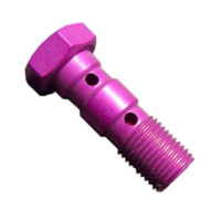 Banjo bolt double m10x1.00 violet
