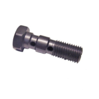 Banjo bolt double m10x1.25 anthracite