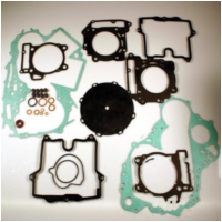 Complete gasket / seal kit P400010850100