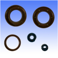 Engine oil seal kit P400220400350