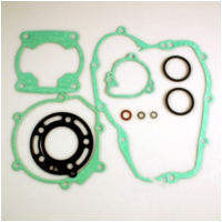 Complete gasket / seal kit P400250850082
