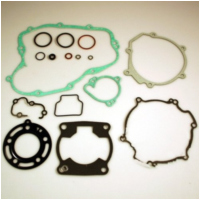 Complete gasket / seal kit P400250850089