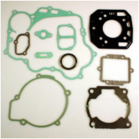 Complete gasket / seal kit P400250850129