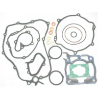 Complete gasket / seal kit P400485850118