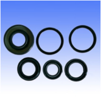 Engine oil seal kit P400485400002