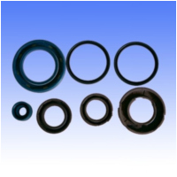 Engine oil seal kit P400480400059