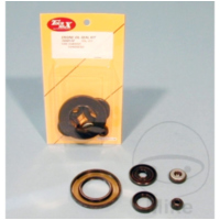 Engine oil seal kit OSL211