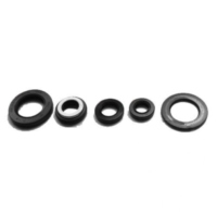 Engine oil seal kit OSL224