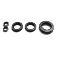 Engine oil seal kit OSL423R