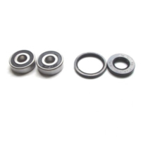 Wheel bearing and seal kit WBK019