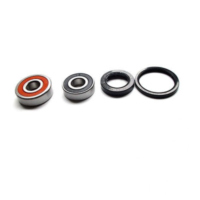 Wheel bearing and seal kit WBK281