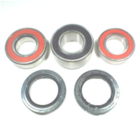 Wheel bearing and seal kit WBK225