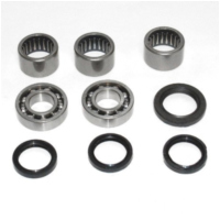 Swing arm needle bearing