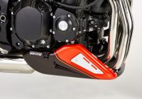 Bugspoiler - weiß/grün Unterfahrschutz für: KAWASAKI Z900 RS ZR900C